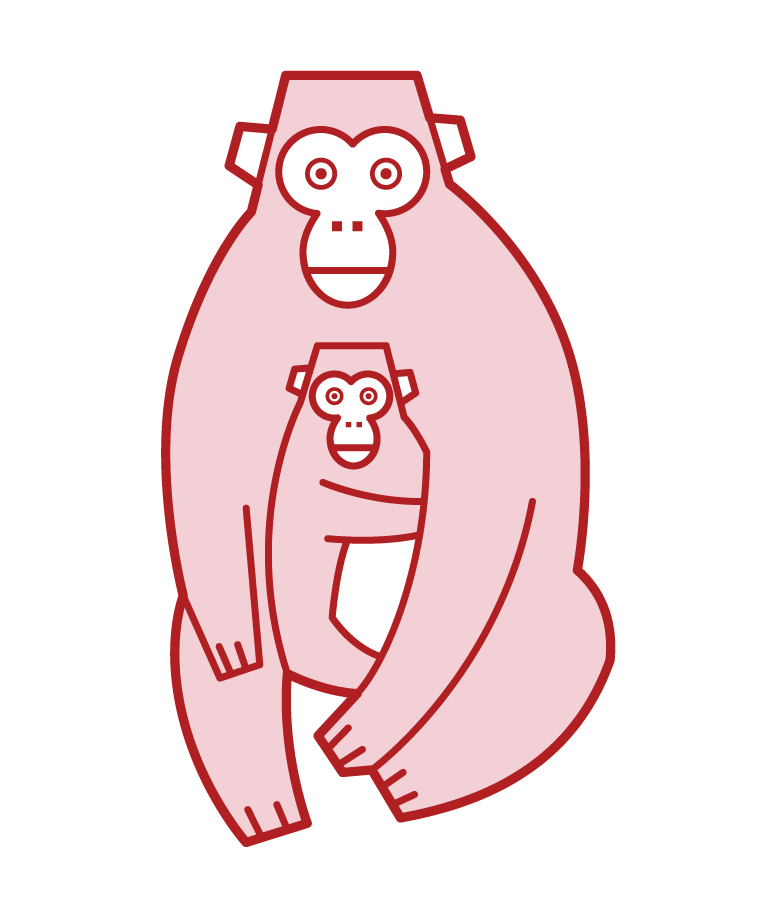 원숭이의 부모와 자식의 그림