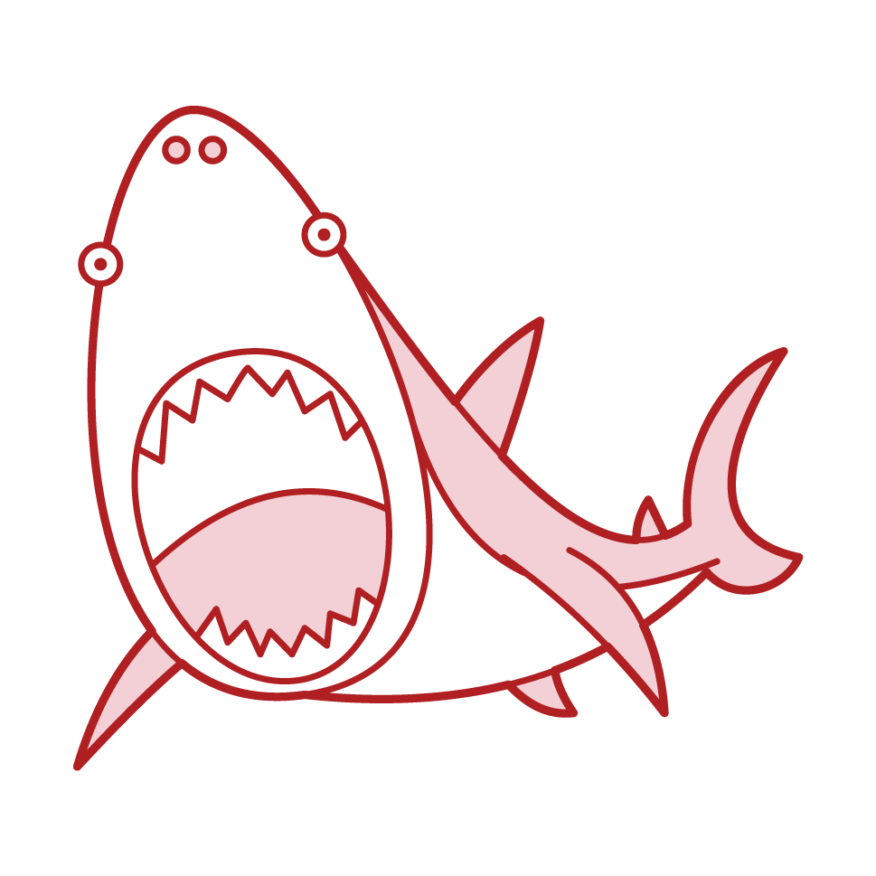 Illustration of a shark attacking