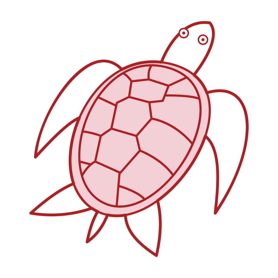 Illustration of sea turtles