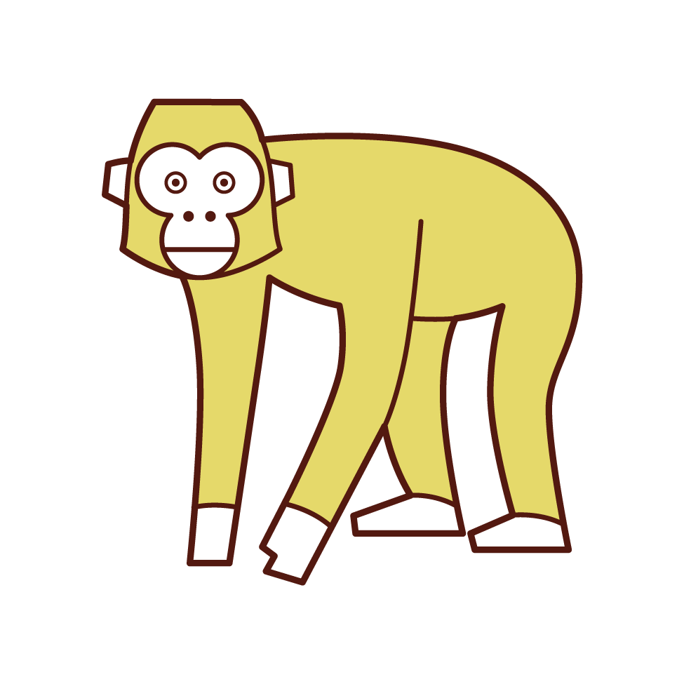 Illustration of a walking monkey
