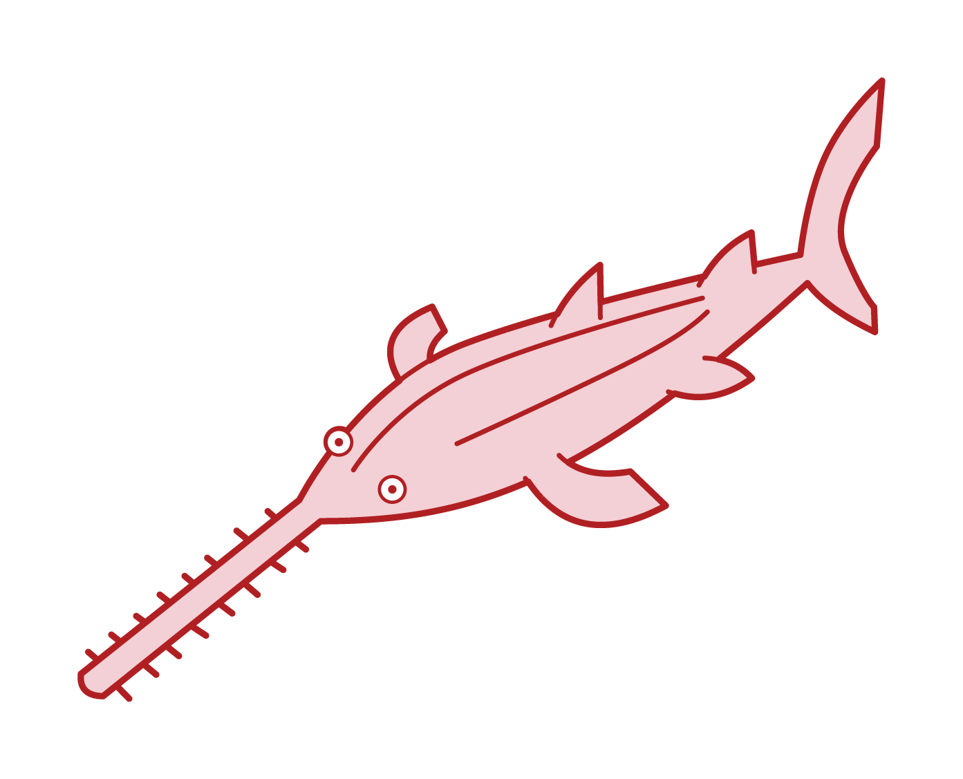 Illustration of saw shark