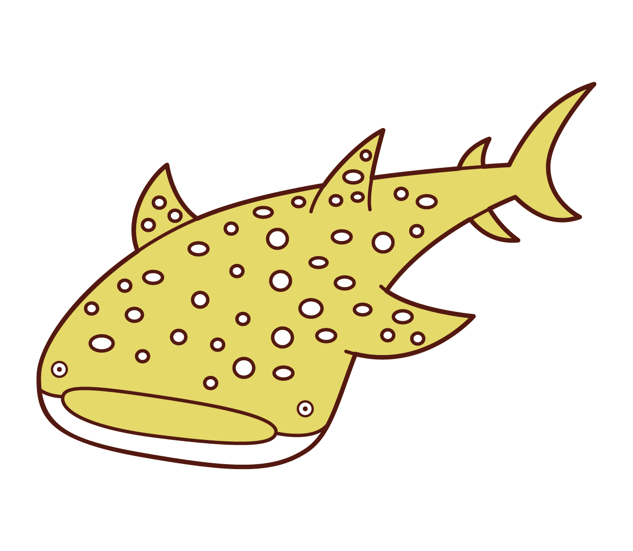 Illustration of whale shark