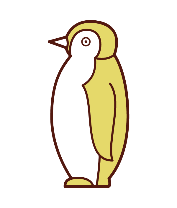 ペンギンの赤ちゃんのイラスト