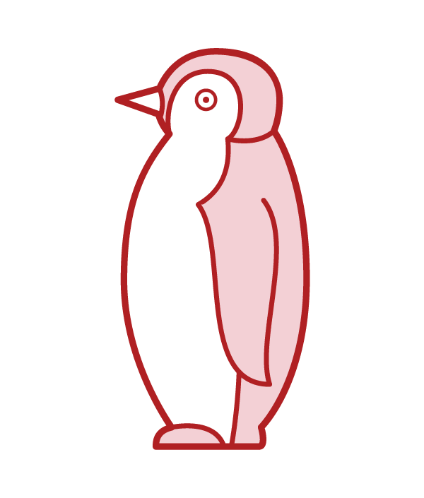 ペンギンの赤ちゃんのイラスト