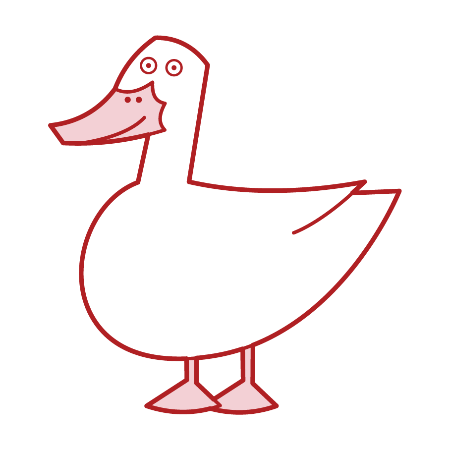 Illustration of ducks