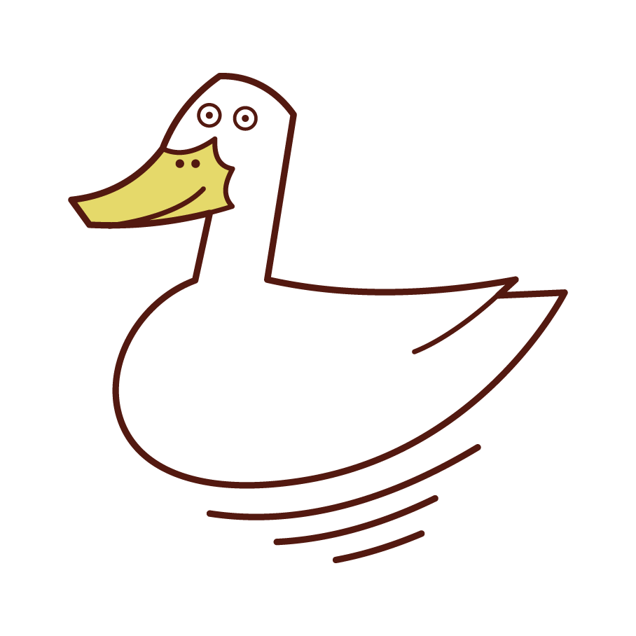 Illustration of a swimming duck