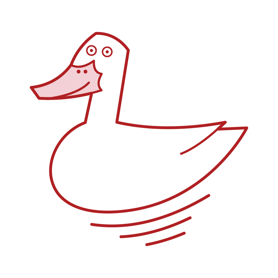 Illustration of a swimming duck