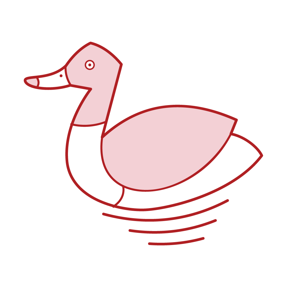 Illustration of a duck swimming