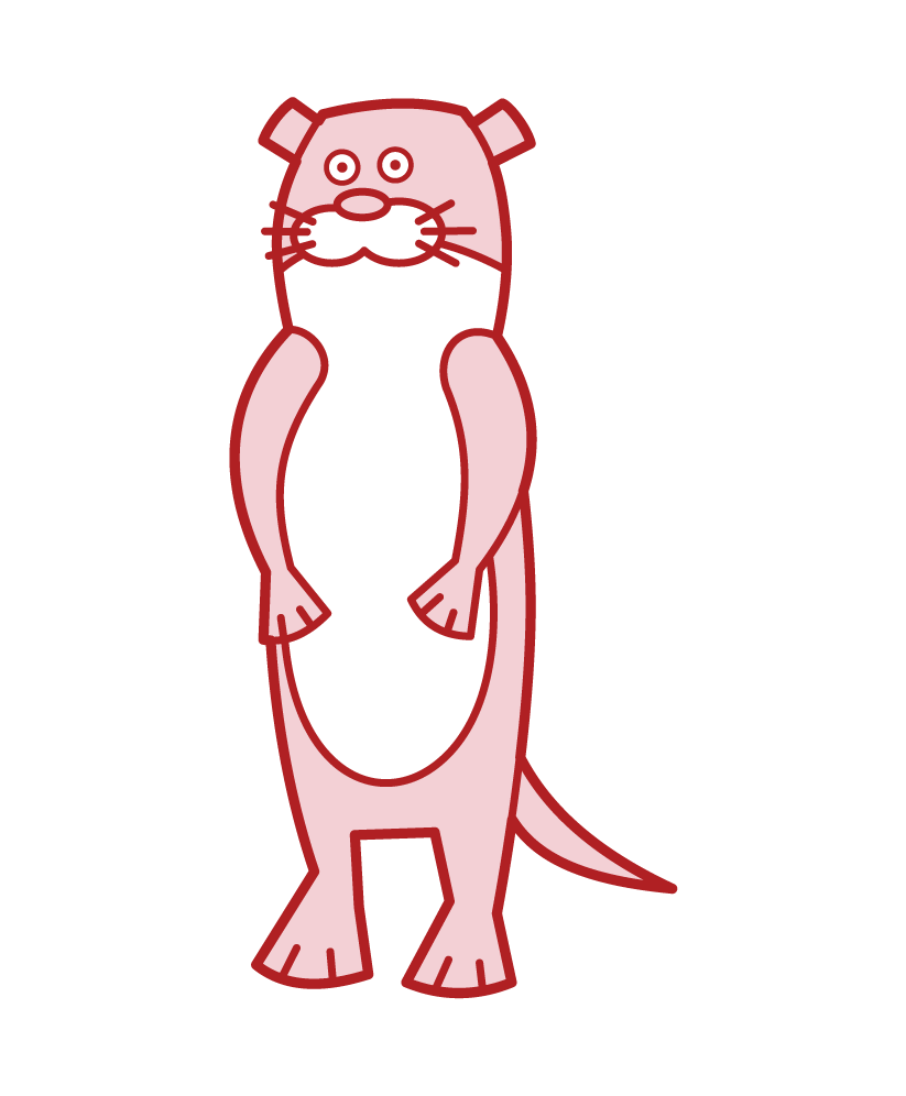 Illustration of a standing otter