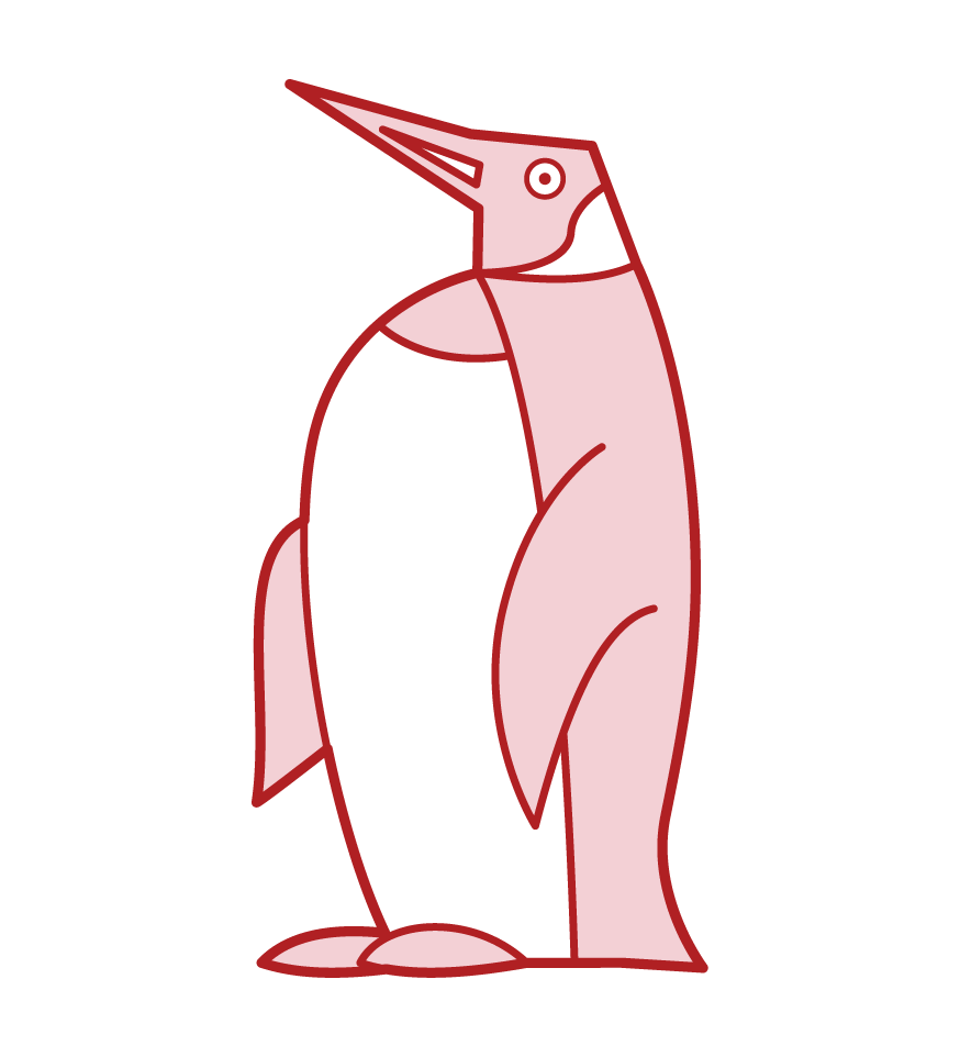 オウサマペンギンのイラスト