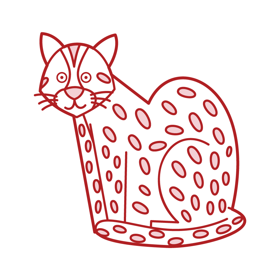 Bengal wildcat illustration