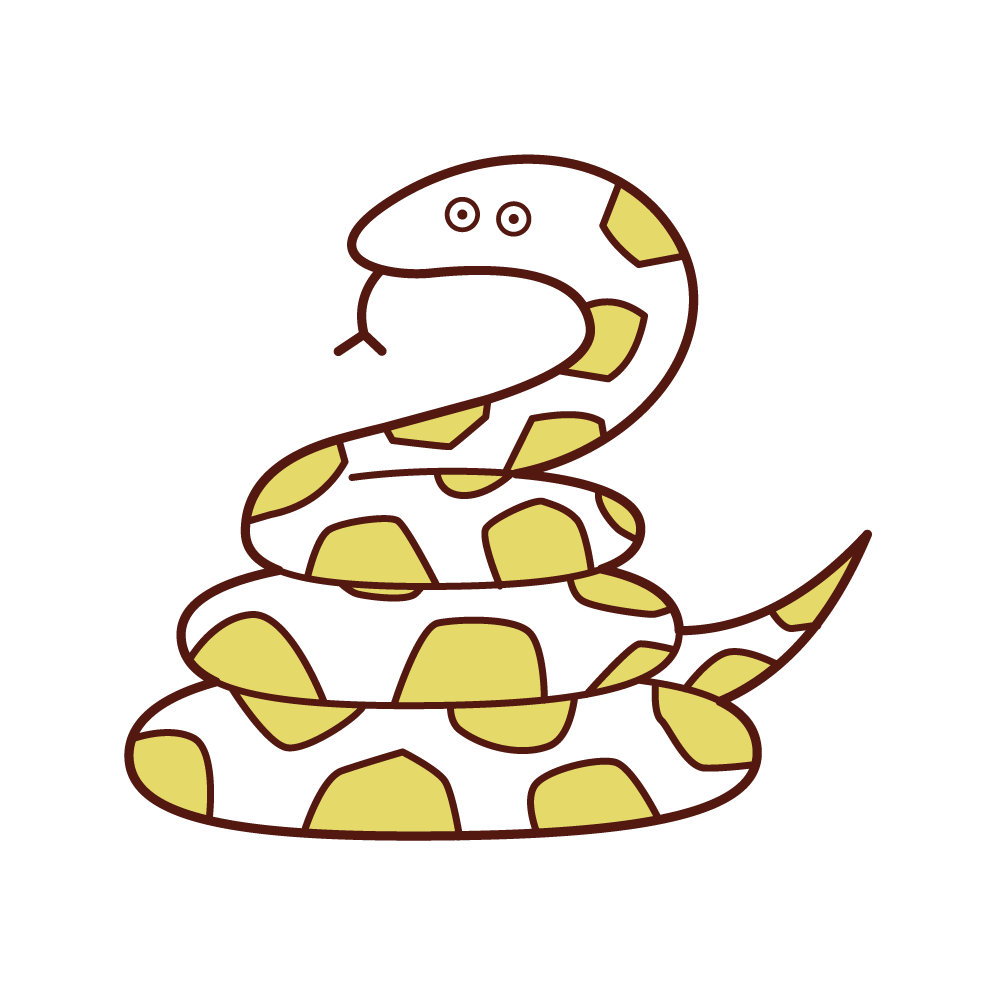 Illustration of python
