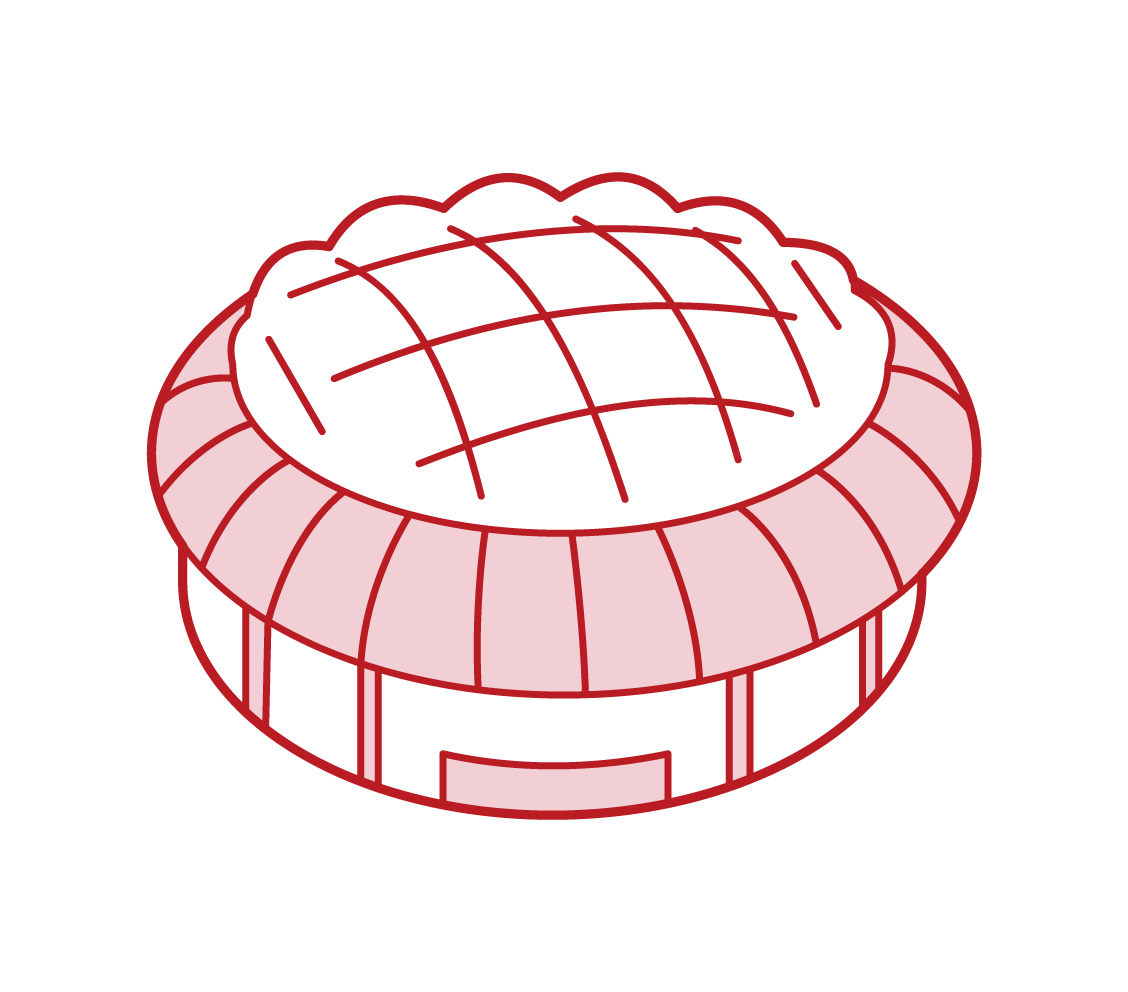Illustration of the dome