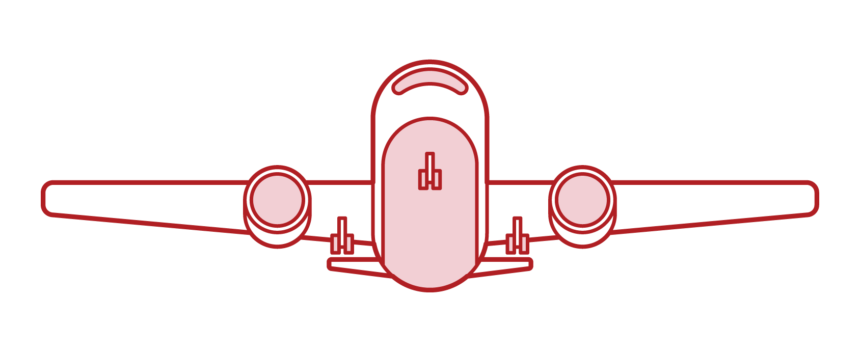 Illustration of the airplane seen from the front