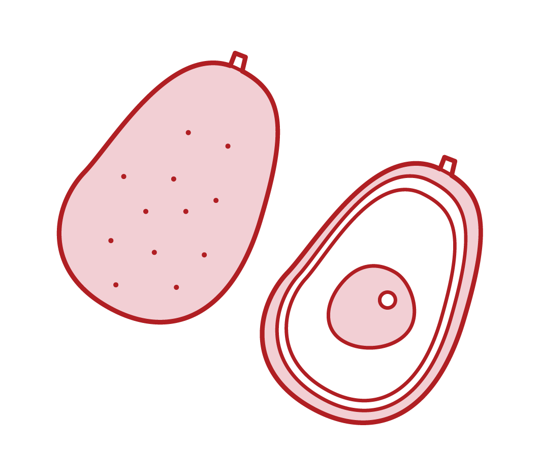 Avocado Illustrations