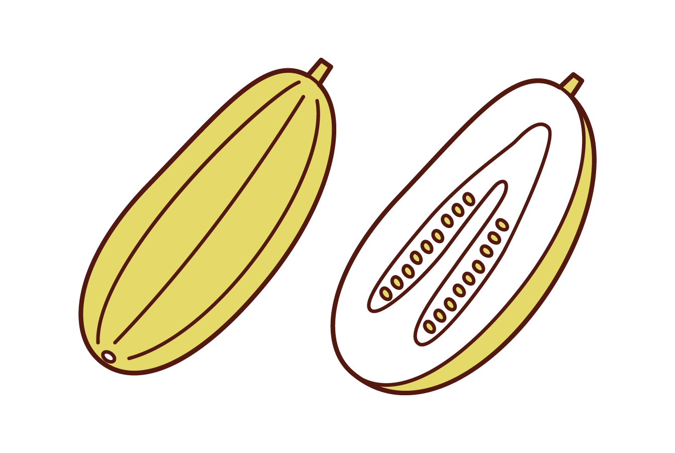 Illustration of the white melon