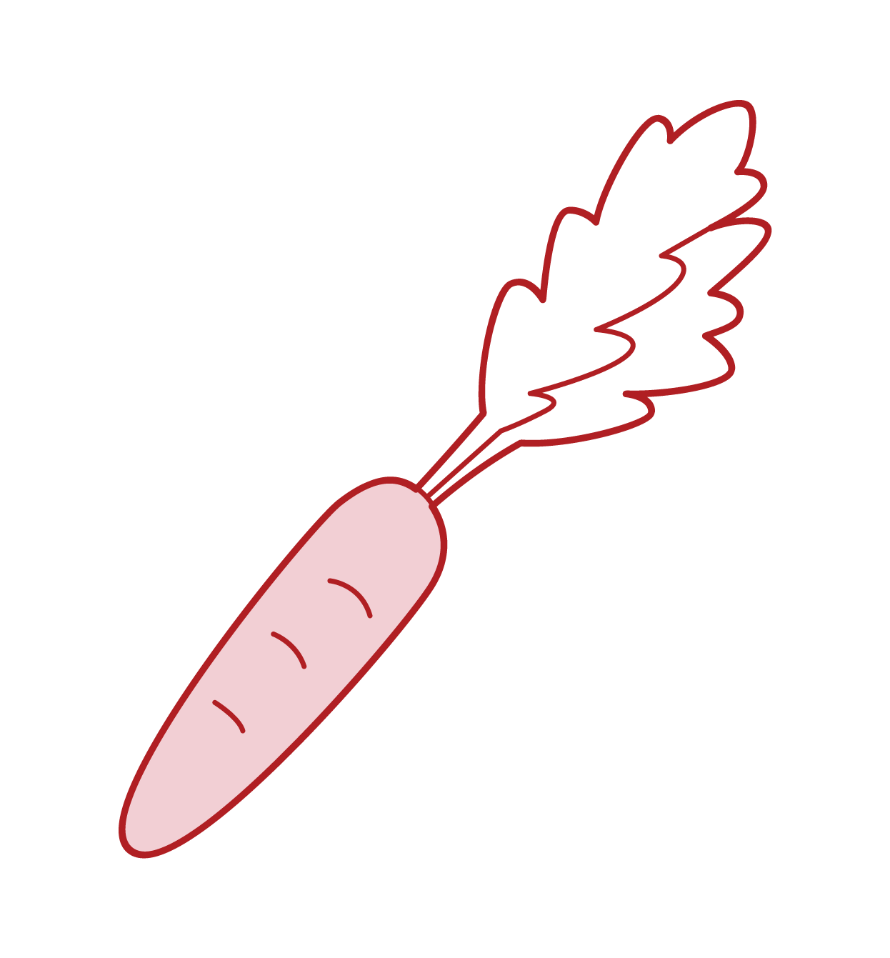 Illustration of carrots