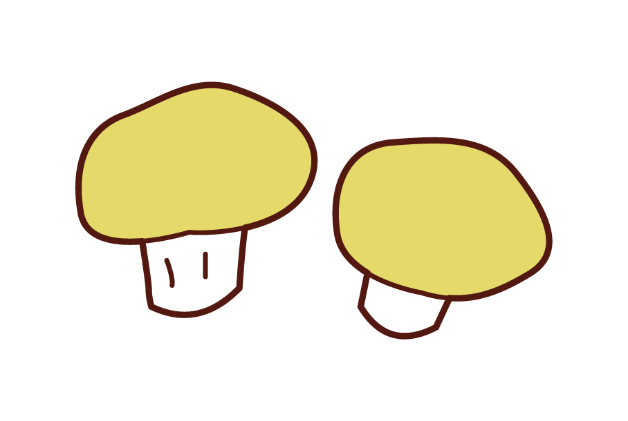 Mushroom Illustrations