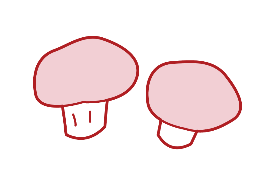 Mushroom Illustrations