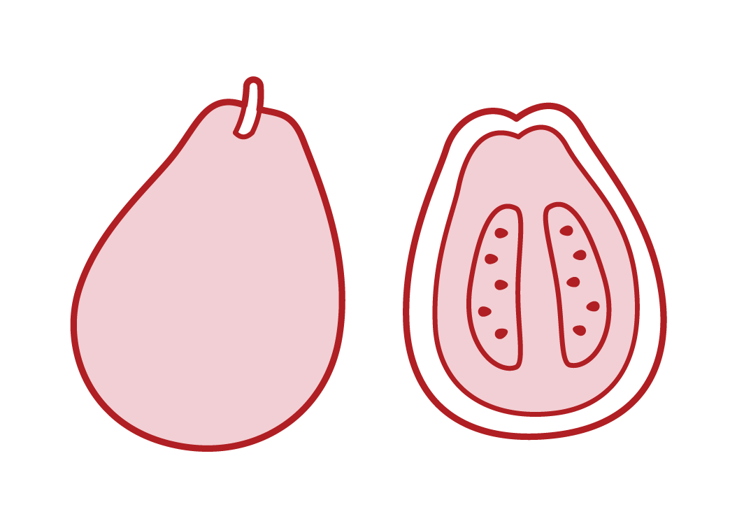 Guava Illustrations