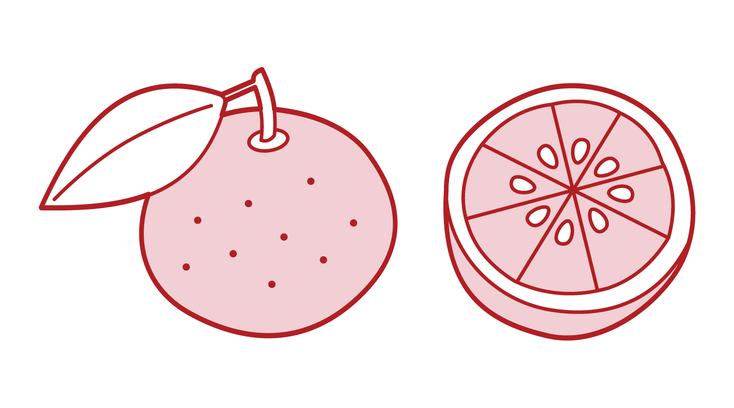 柚子のイラスト