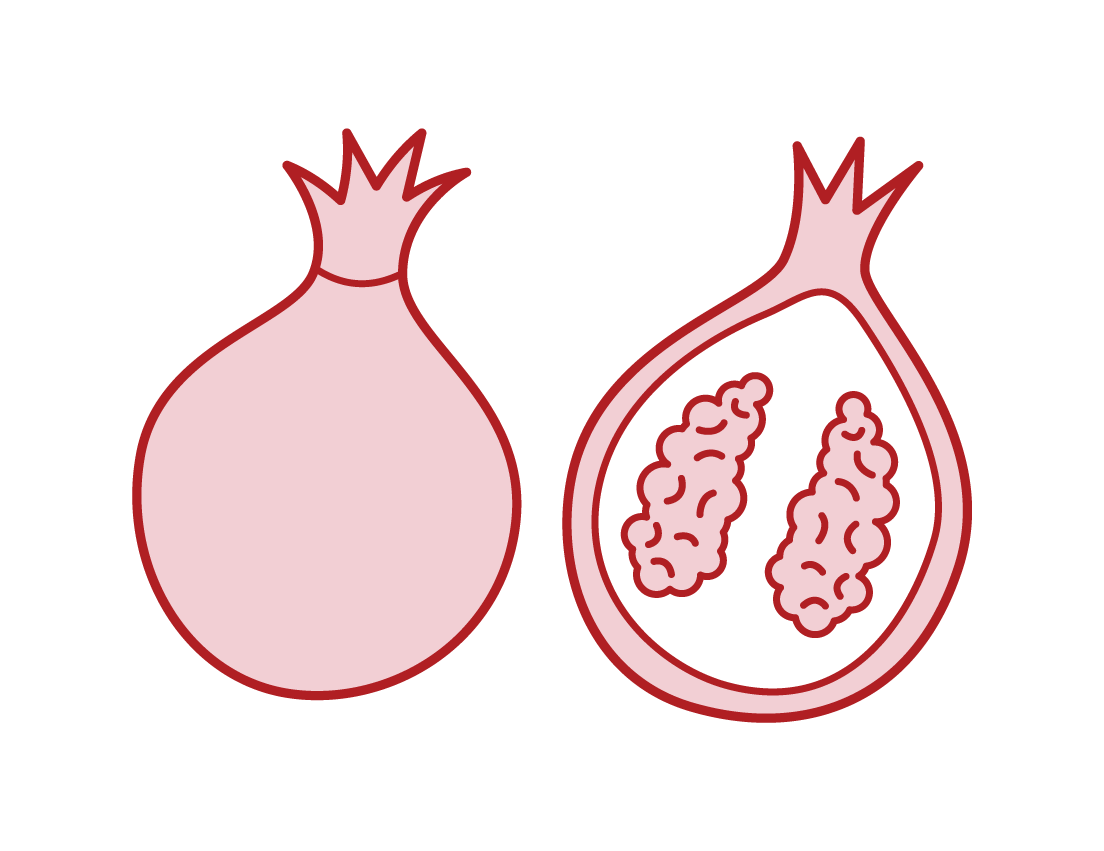 Pomegranate Illustrations