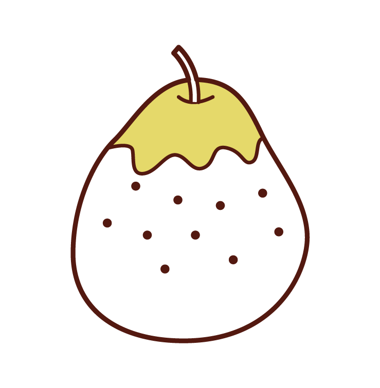 Chinese Pear Illustrations
