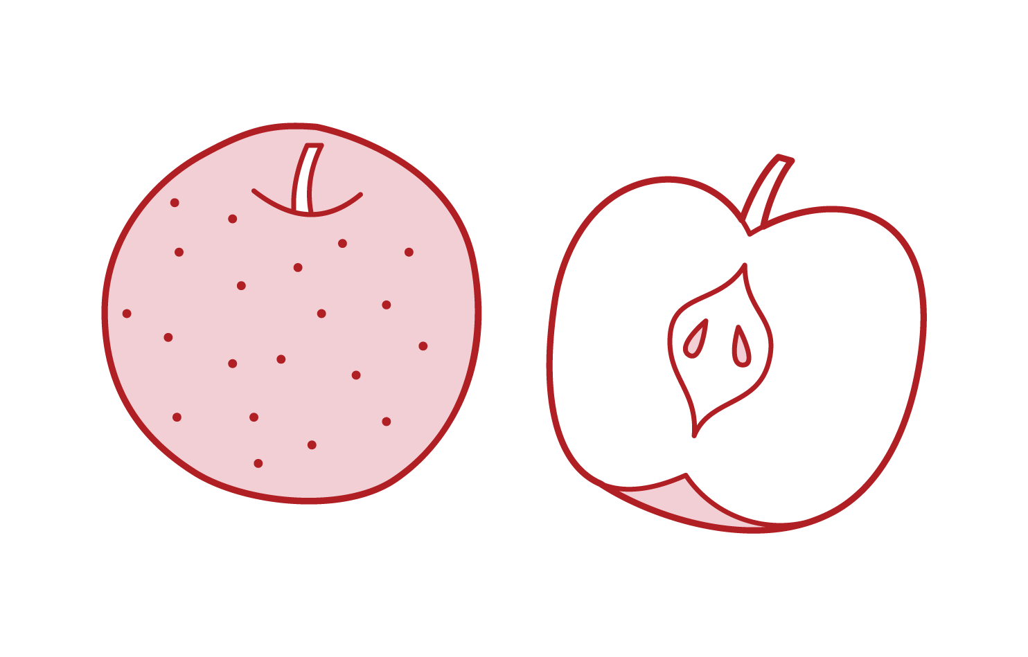 Pear Illustrations