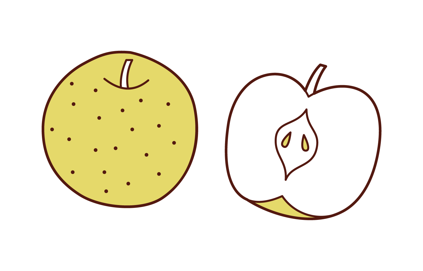 Pear Illustrations