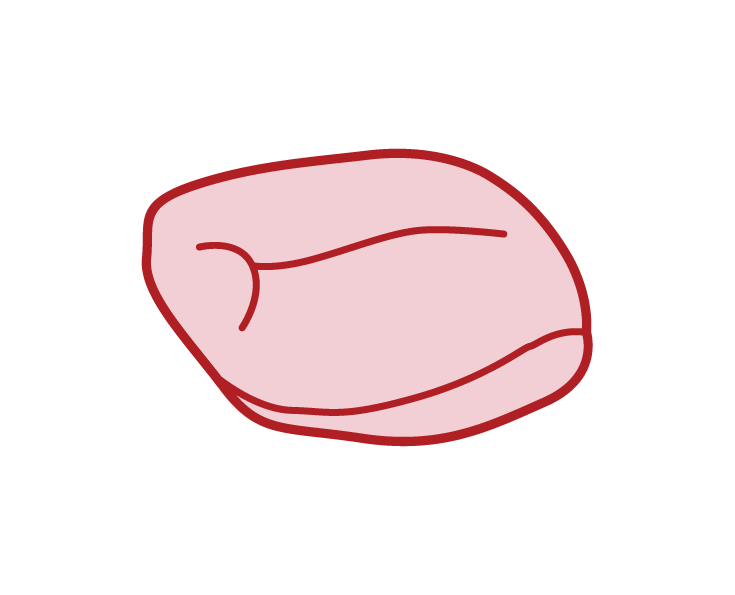 Illustration of bird peach meat