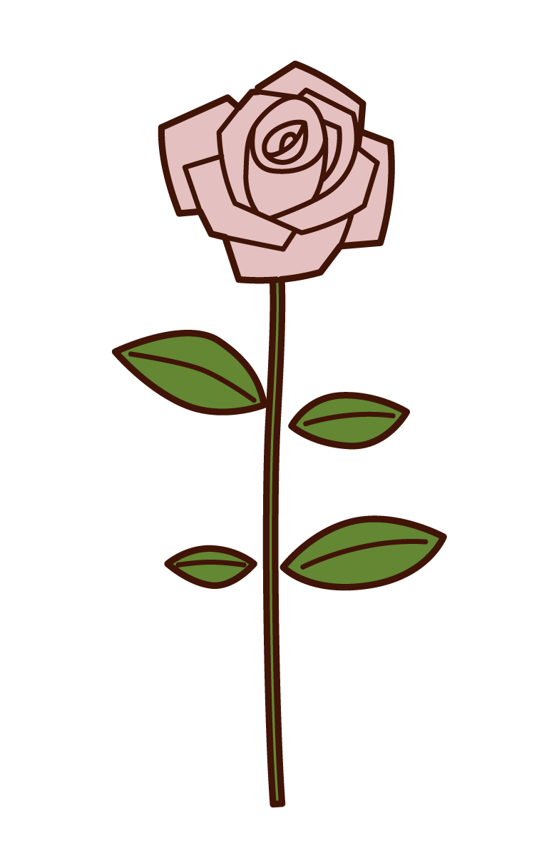 Illustration of a rose