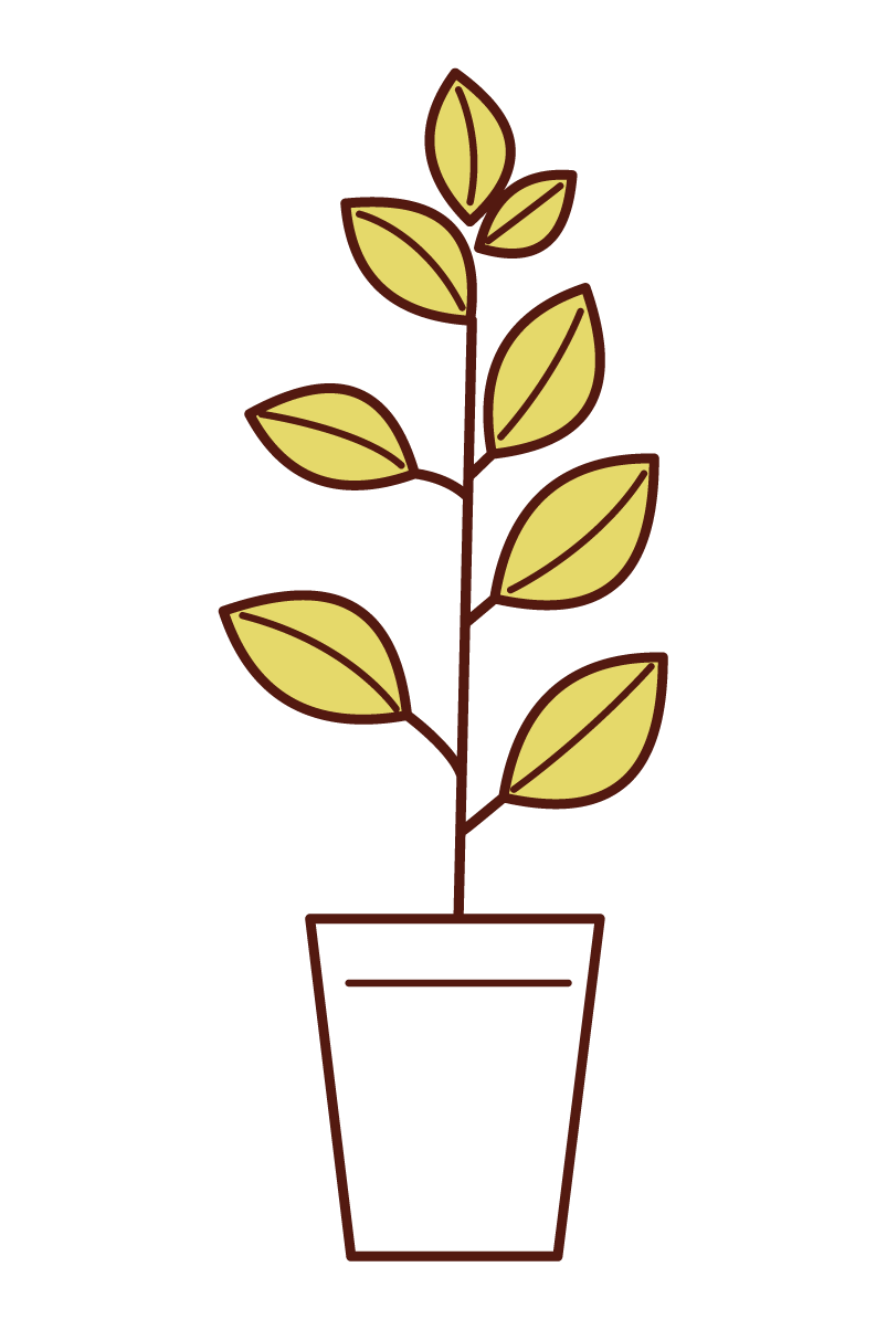 植木のイラスト