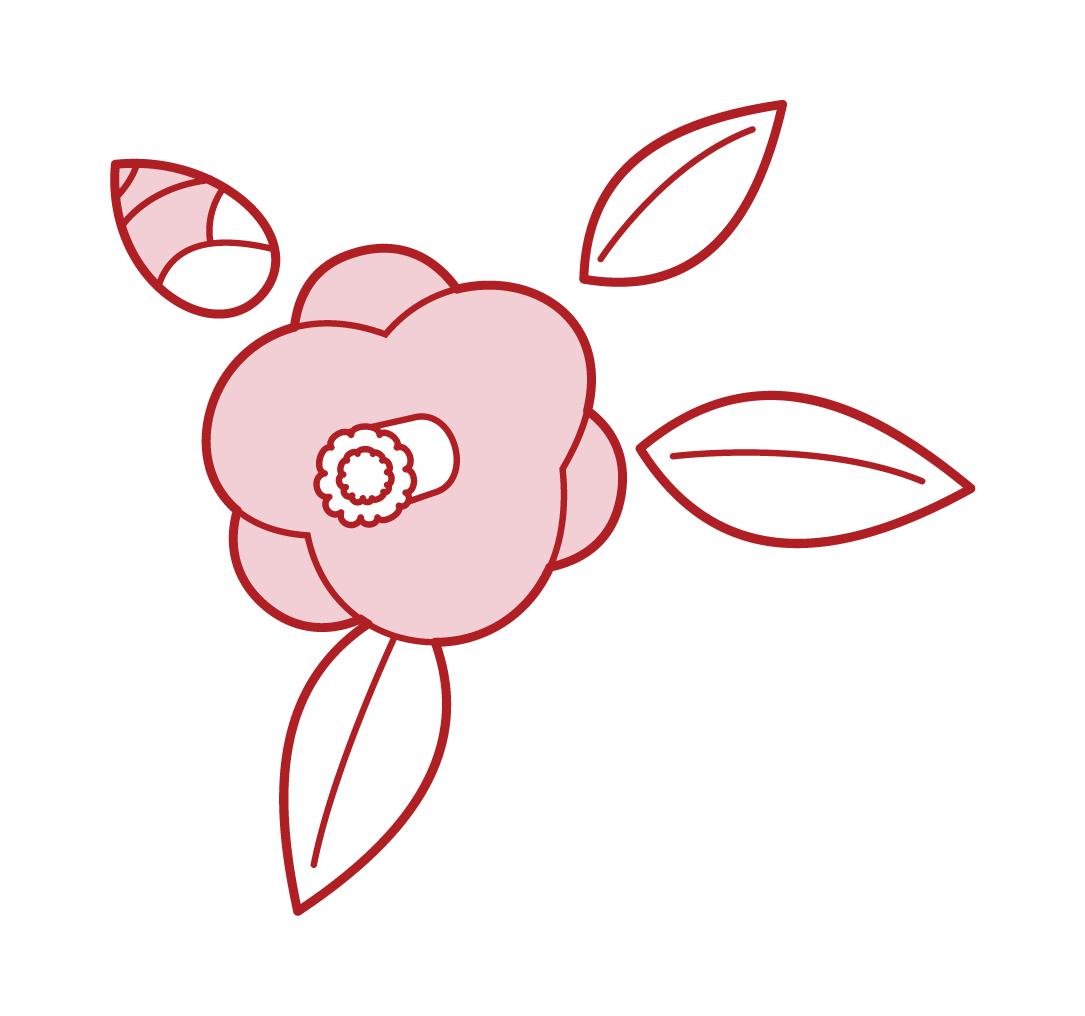 Illustration of Camellia