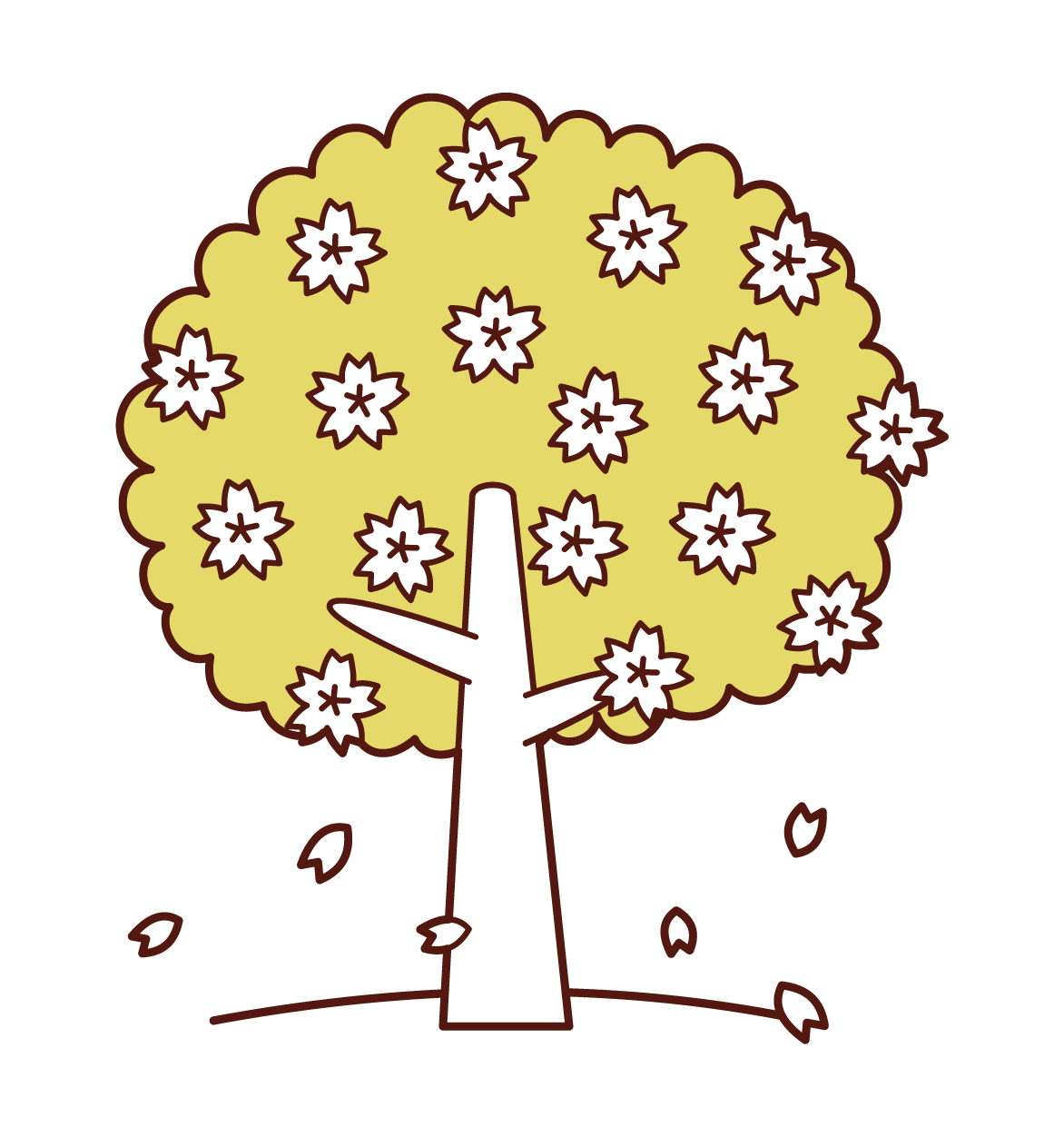 Illustration of cherry tree