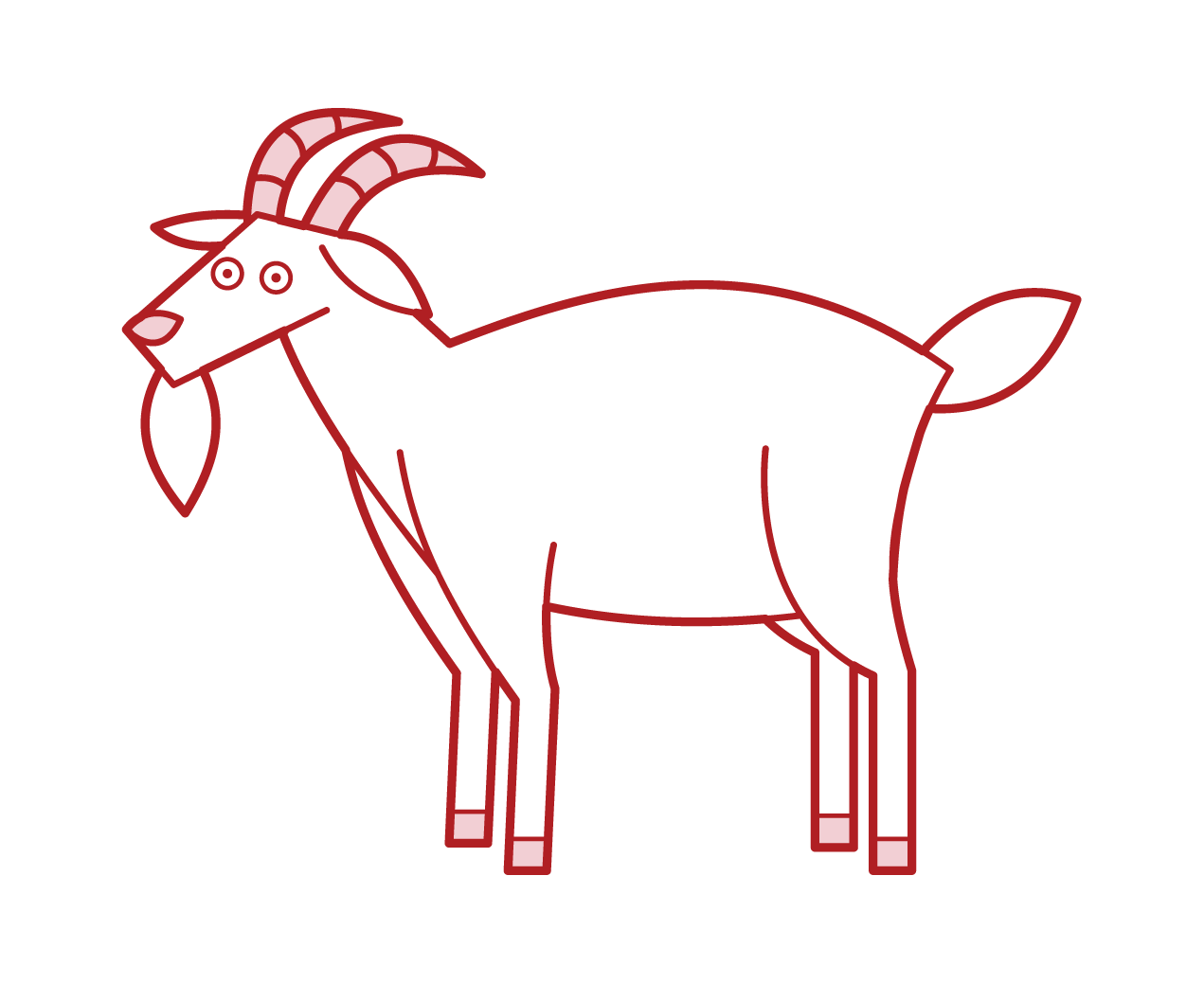 Goat Illustration
