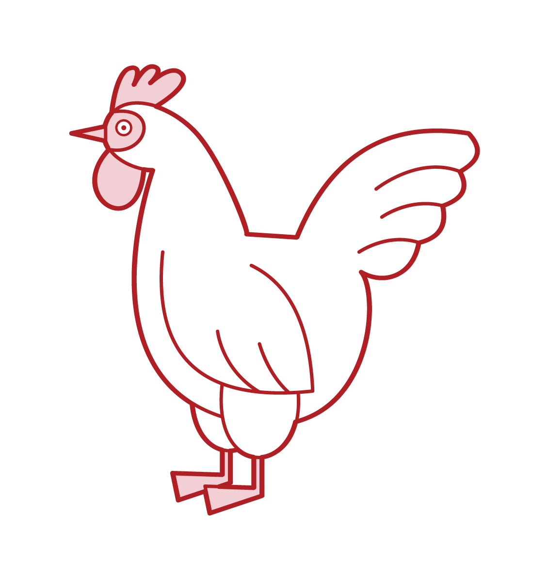 닭고기 그림