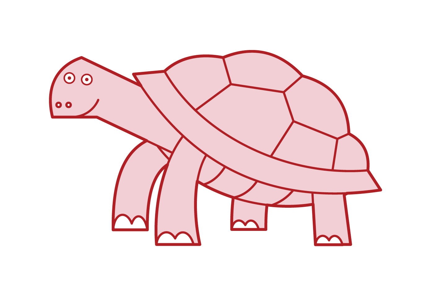 Illustration of aldabra tortoise