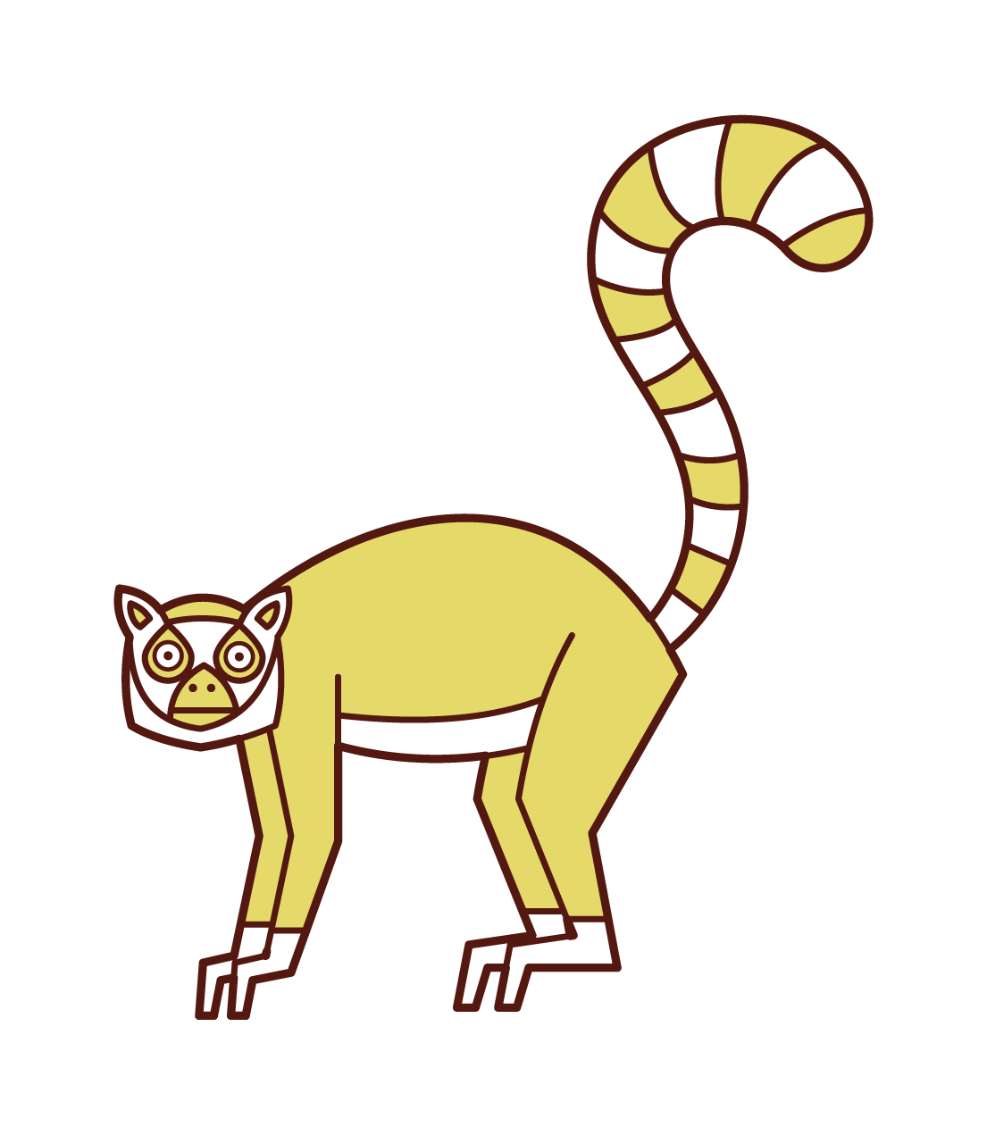 Illustration of a lemur