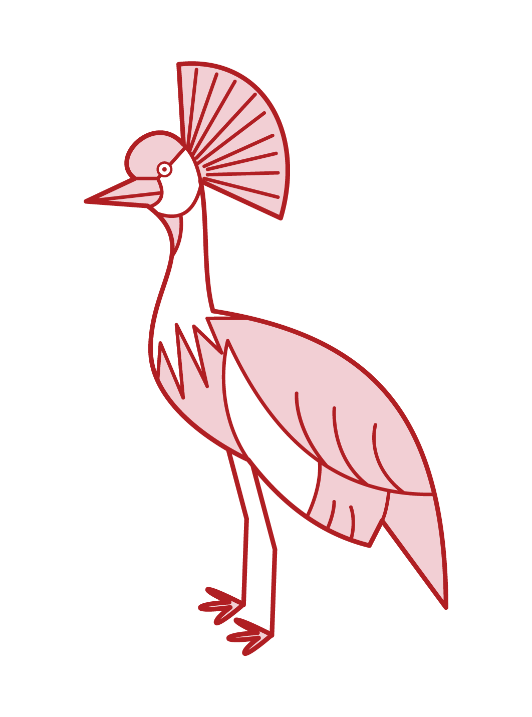 Illustration of white-tailed crane