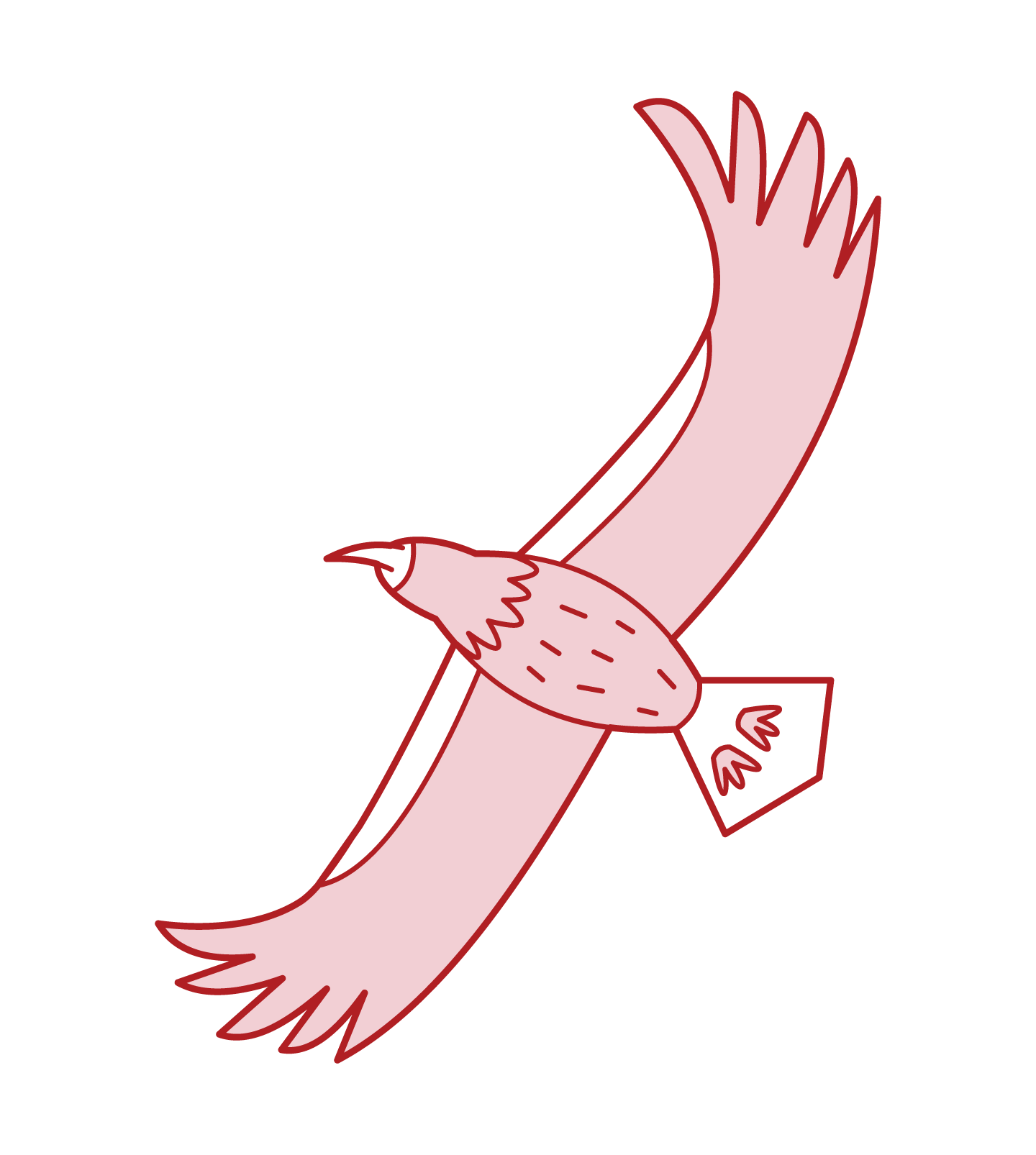 Illustration of a flying sea eagle