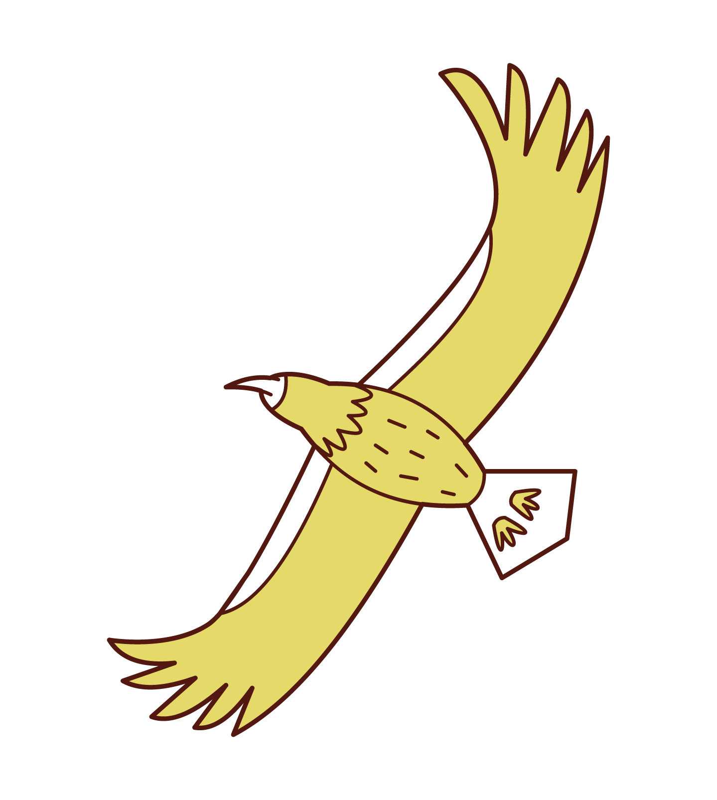 Illustration of a flying sea eagle