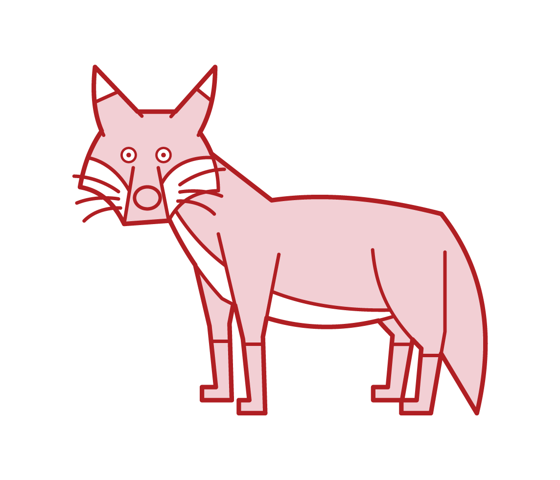 Illustration of a fox
