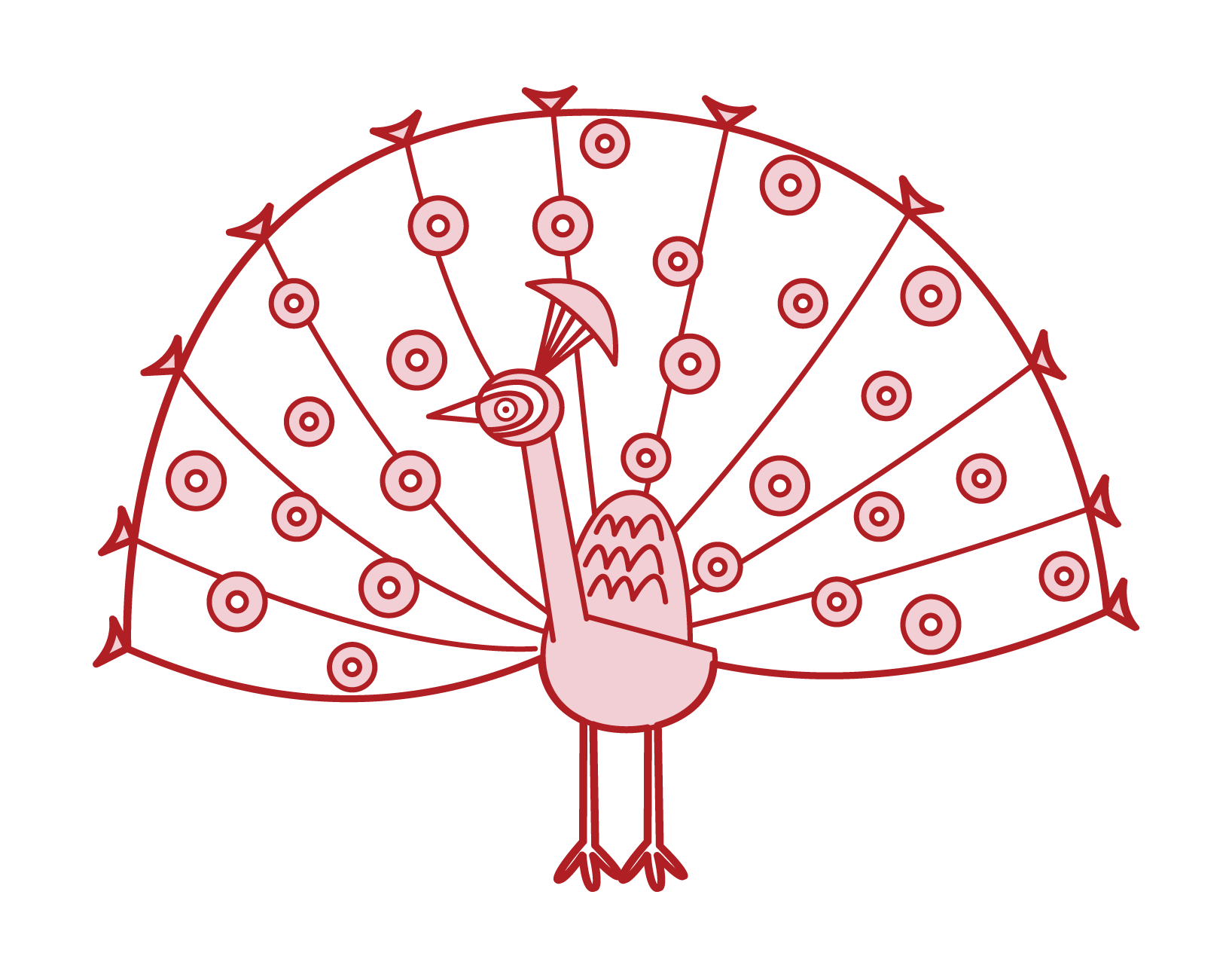 Illustration of peacock with wings spread