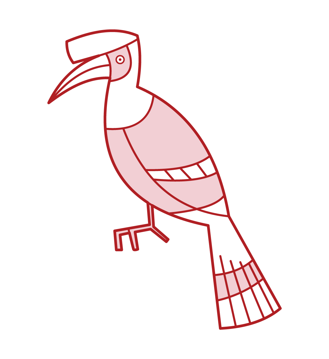 Illustration of a giant hornbill