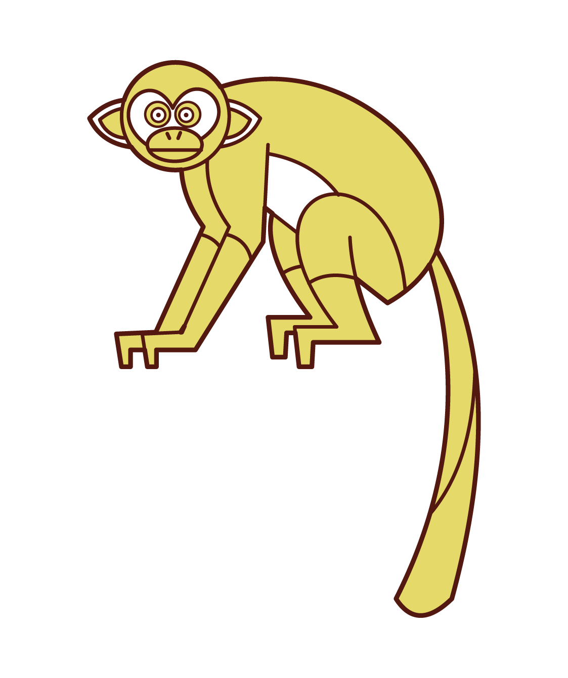 일반적인 다람쥐 원숭이 일러스트레이션