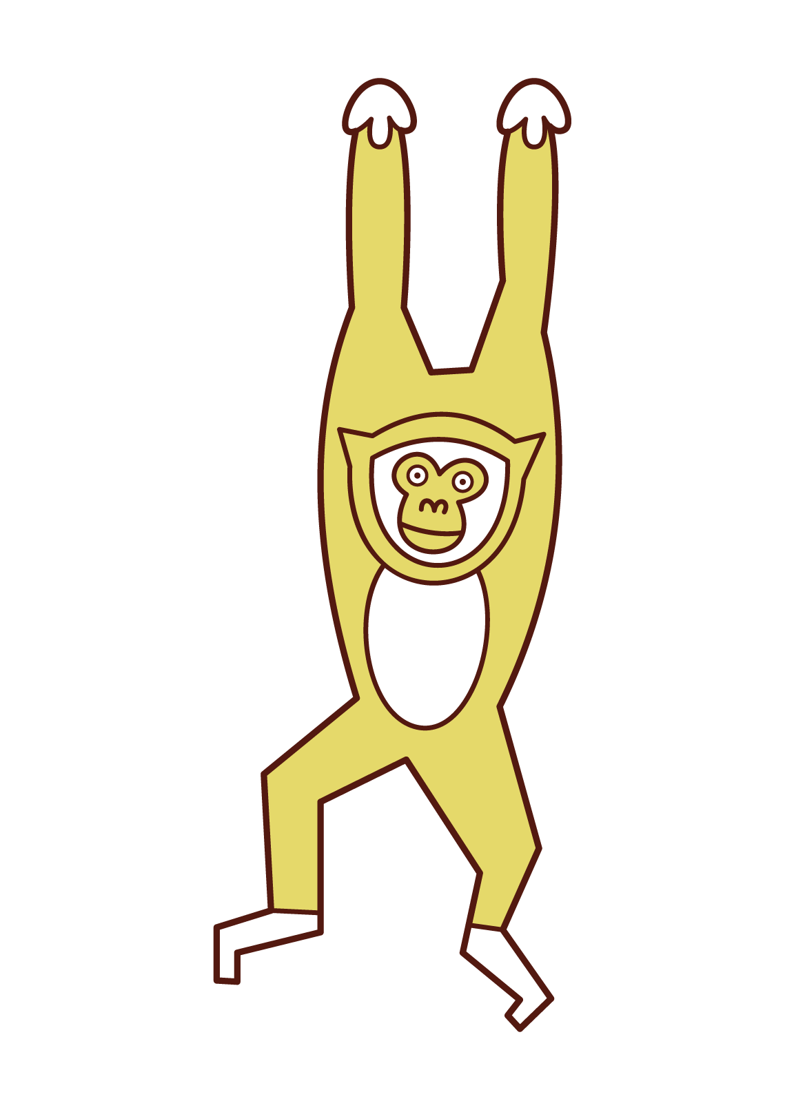 긴팔원숭이의 삽화