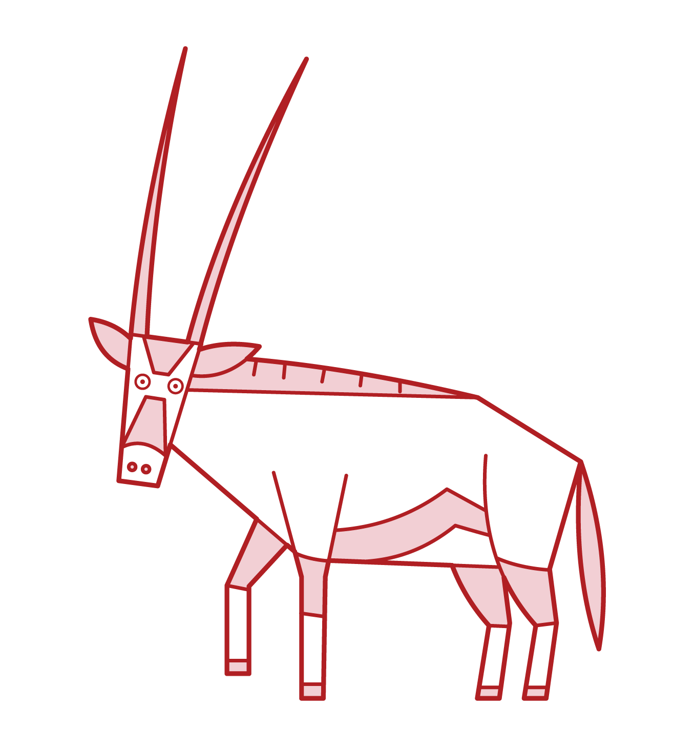 Oryx Illustration