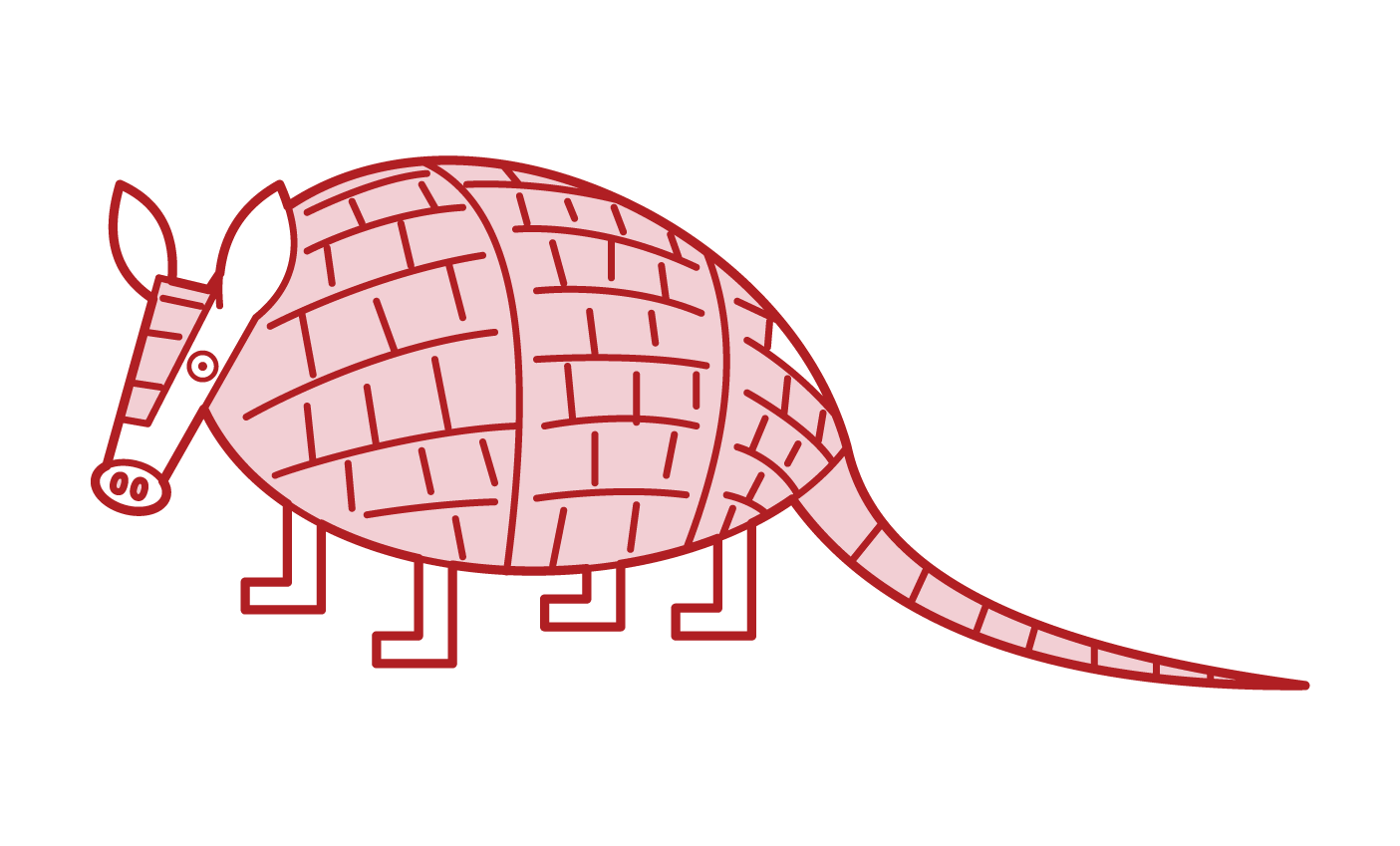 Illustration of armadillo