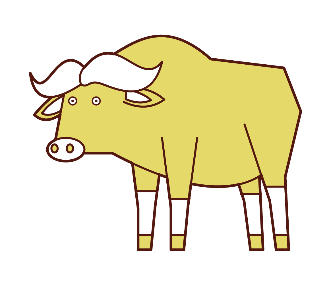 Illustration of buffalo