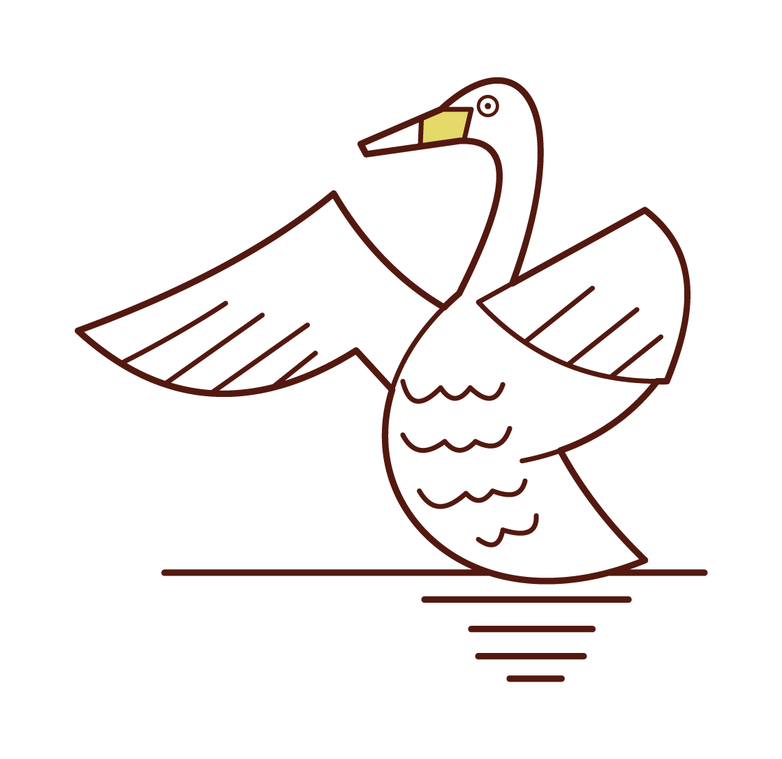 Illustration of a swan spreading its wings